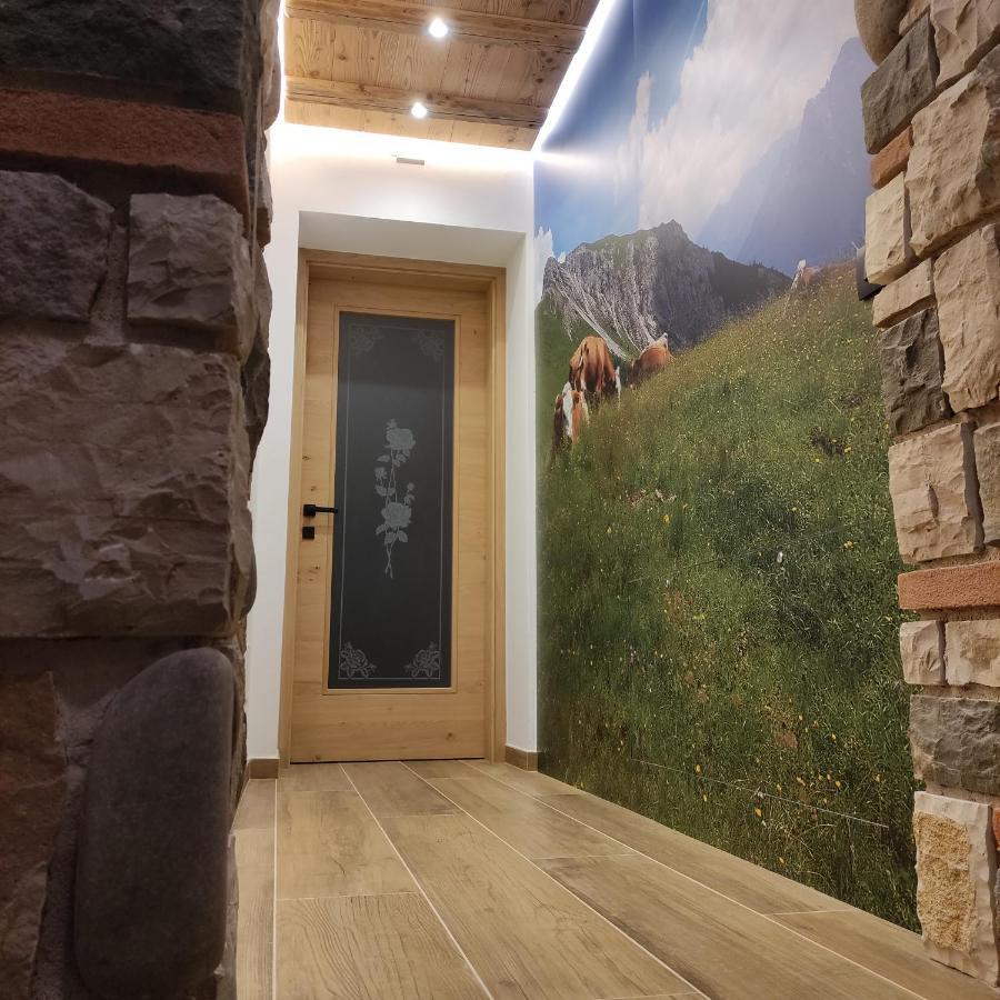 Cuore Delle Dolomiti Alloggi Vacanze San Pietro di Cadore Exterior foto